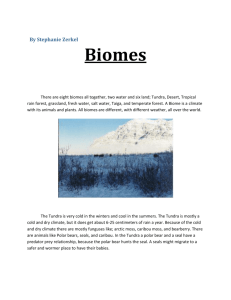 Biomes word Stephanie zerkel wiki