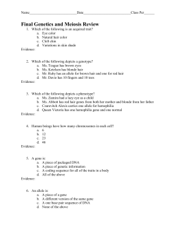 Incomplete Dominance Worksheet
