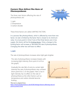 Factors That Affect The Rate of Photosynthesis