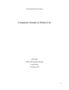 Companion Animals in Modern Life
