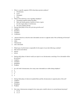 Segment of dna that directs protein synthesis alternate or alternative hypothesis