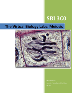 The Virtual Biology Labs - Mrs. McKenzie`s Biology Blog