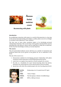 Autumn Herbal medicine course – Reconnecting