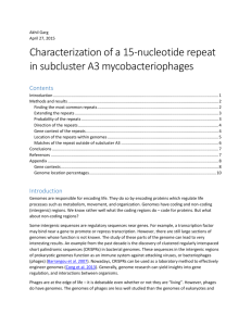 Characterization of a 15-nucleotide repeat in