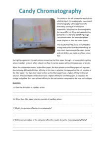 Candy Chromatography information and question sheet