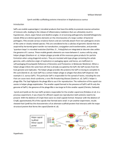 CpmA and 80alpha scaffolding proteins interaction