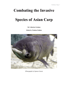 Combating the Invasive Species of Asian Carp