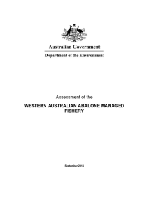 Assessment of the Western Australian Abalone Managed Fishery