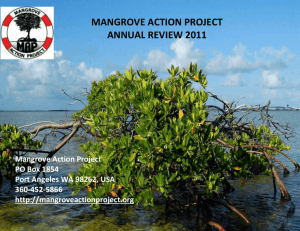 2011 Annual Report - Mangrove Action Project