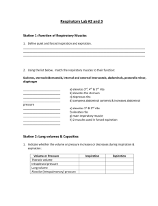 Respiratory Lab #2 &3 (please print out)