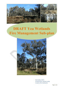 Draft Yea Wetlands Fire Management Plan