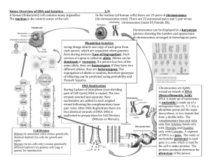 Notes: Overview of DNA and Genetics 3/9 A human (Eukaryotic) cell