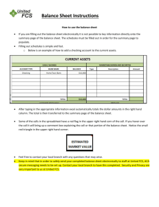 United FCS Balance Sheet Instructions