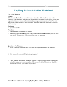 Capillary Action Activities Worksheet (doc)