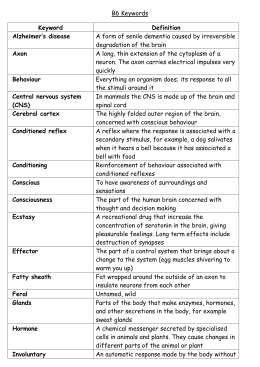 Nervous System Study Guide