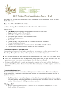 Brief on Wetland Plant ID Course 2015