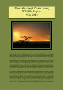 Wildlife-report-May-2014-email