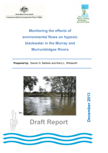 Monitoring the effects of environmental flows on hypoxic blackwater
