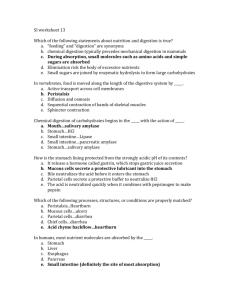 SI worksheet 13 Which of the following statements about nutrition