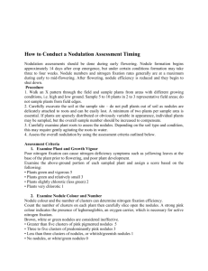 How to Conduct a Nodulation Assessment Timing