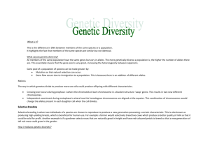 Genetic Diversity What is it? This is the difference in DNA between
