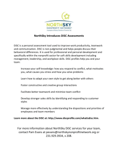 What is DISC - NorthSky Nonprofit Network