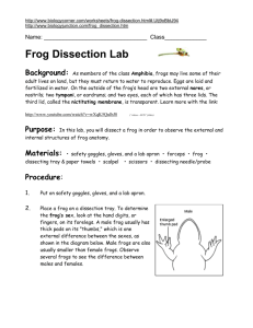 Frog dissection 2014