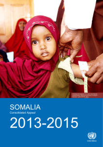 Consolidated Appeal for Somalia 2013 (Word)