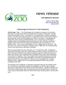 Chattanooga Zoo Discovers Turtle Subspecies
