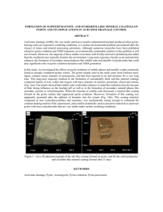 formation of a scorodite-like mineral coating on pyrite and its