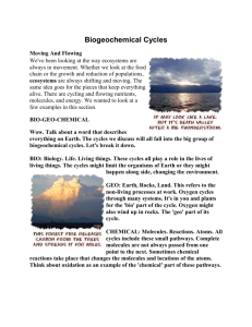 Biogeochemical Cycles