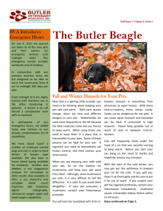 Edited Butler Beagle Fall 2012