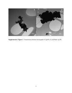 Supplementary Figure 1: Transmission electron micrograph of