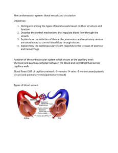 Cardiovascular system – blood vessels and circulation
