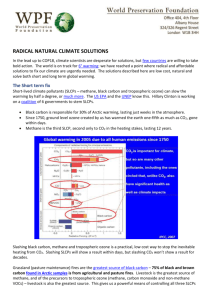 Radical Natural Climate Solutions