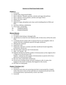 Answers to Final Exam Study Guide Chapter 6 In Journal Double
