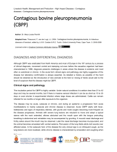 cbpp_diagnosis_and_differential_diagnosis