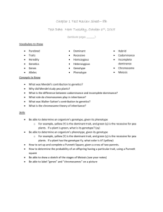 8B Chapter 1 Test Review Sheet