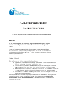 FFM_Call-for-Projects-2013[word
