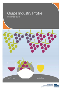 Location of Victoria`s wine grape industry