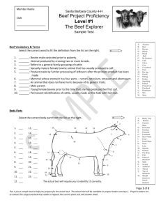 Beef Sample Test Level 1 (word)
