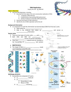 DNA Replication Notes - TangHua2012-2013