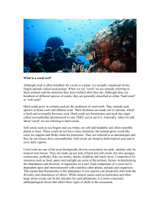 Case Study: Coral Reef Bleaching
