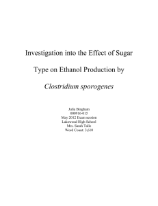Effect of Sugar on Ethanol Production by C. sporogenes