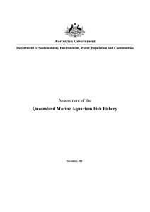 Assessment of the Queensland Marine Aquarium Fish Fishery 2011
