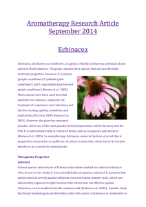 Aromatherapy Research Article September 2014 Echinacea