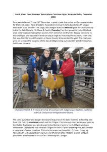 South Wales Texel Breeders` Associations Christmas Lights Show