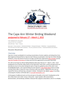 2015 Cape Ann Winter Birding Weekend