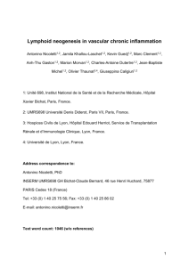 Lymphoid neogenesis in vascular chronic inflammation - HAL