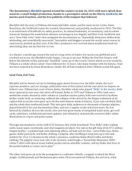 Seaworld essay image